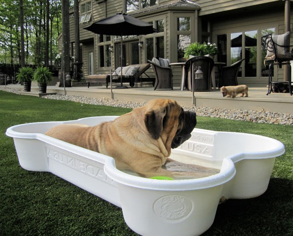 2 Bone Pools 1 Paw Pool Package